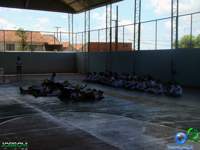 DSC03590.jpg