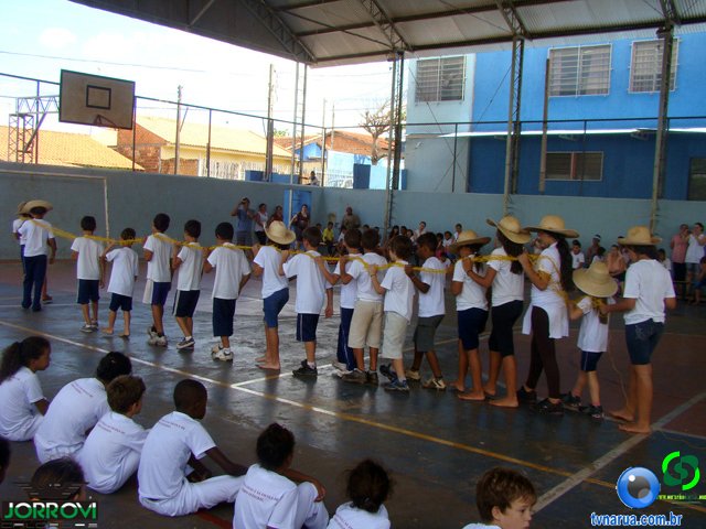 DSC03617.jpg