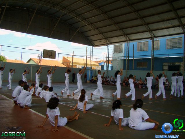 DSC03650.jpg