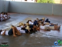 DSC03599.jpg