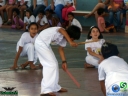 DSC03654.jpg