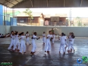 DSC03664.jpg