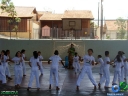 DSC03666.jpg
