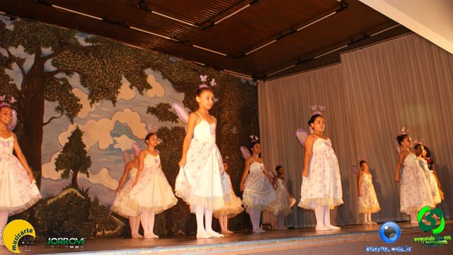 DSC01339.jpg