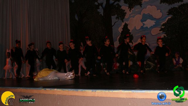 DSC01419.jpg