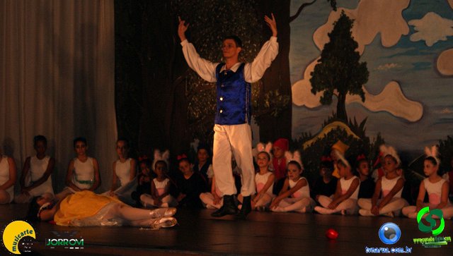DSC01428.jpg