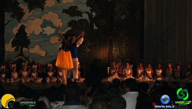 DSC01436.jpg