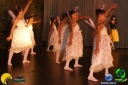DSC01342.jpg