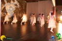 DSC01343.jpg