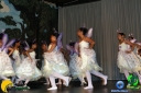 DSC01356.jpg