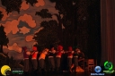DSC01385.jpg