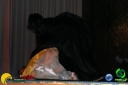 DSC01415.jpg