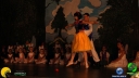 DSC01433.jpg