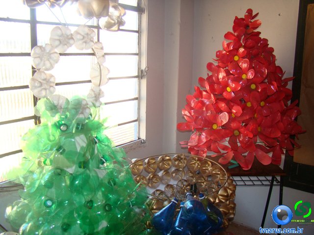 DSC02234.jpg