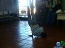 DSC02136.jpg