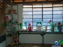 DSC02235.jpg