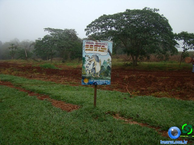 DSC02657.jpg