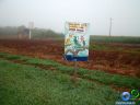 DSC02655.jpg