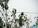 DSC02686.jpg