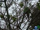 DSC02739.jpg