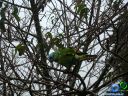 DSC02740.jpg