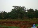 DSC02758.jpg