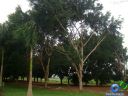 DSC02762.jpg