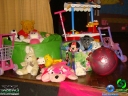 DSC02342.jpg