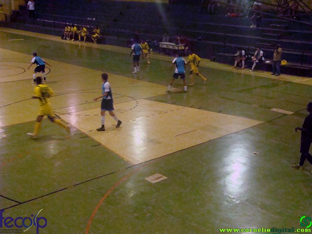 DSC06281.jpg