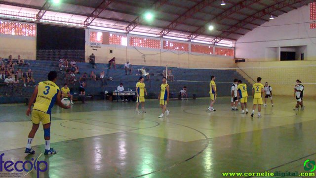 DSC06554.jpg