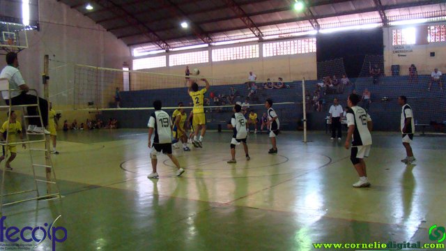 DSC06572.jpg