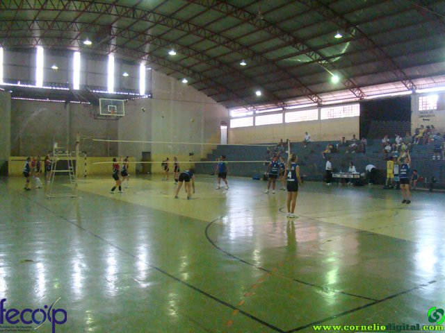 DSC06610.jpg