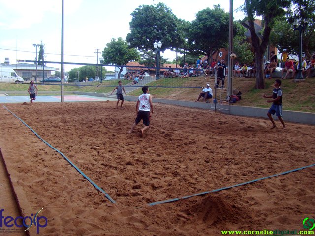 DSC06677.jpg