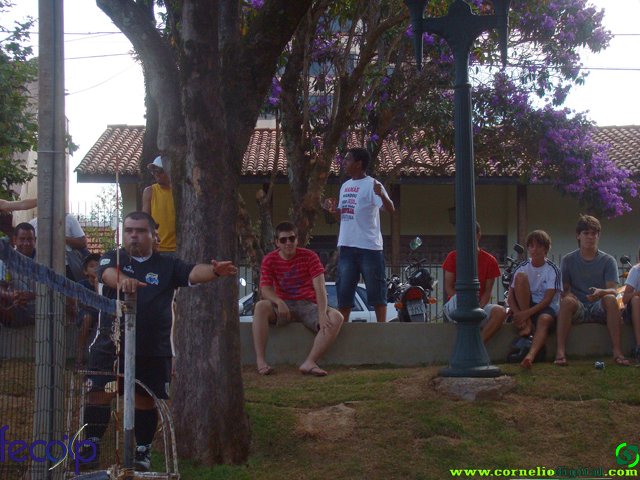 DSC06694.jpg