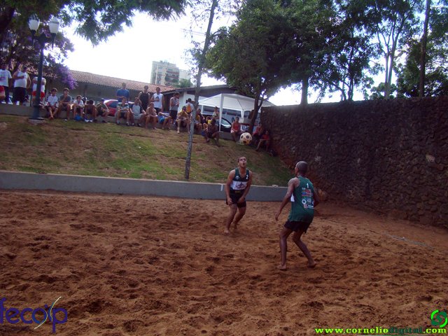 DSC06698.jpg