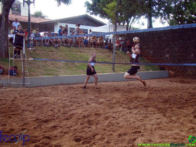 DSC06704.jpg