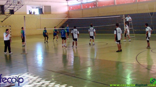 DSC06728.jpg