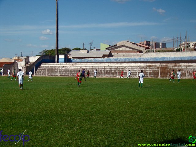 DSC06902.jpg