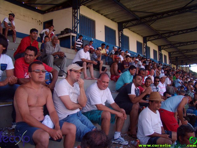 DSC06905.jpg