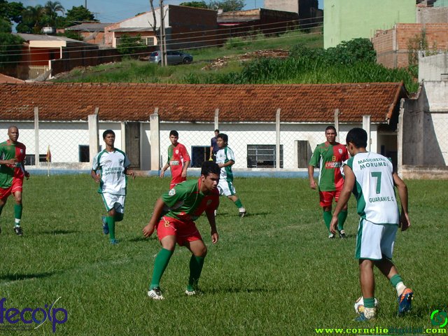 DSC06930.jpg