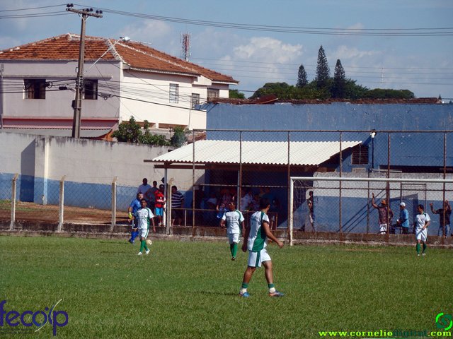 DSC06932.jpg