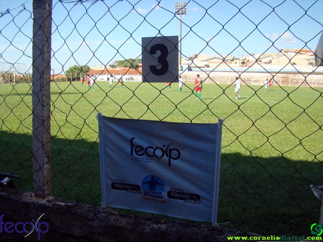 DSC06933.jpg