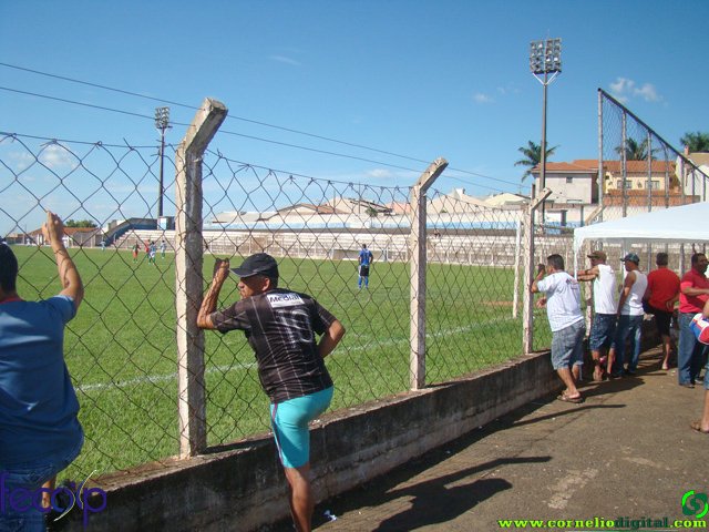 DSC06938.jpg