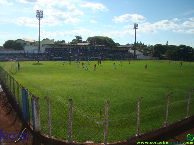 DSC06946.jpg