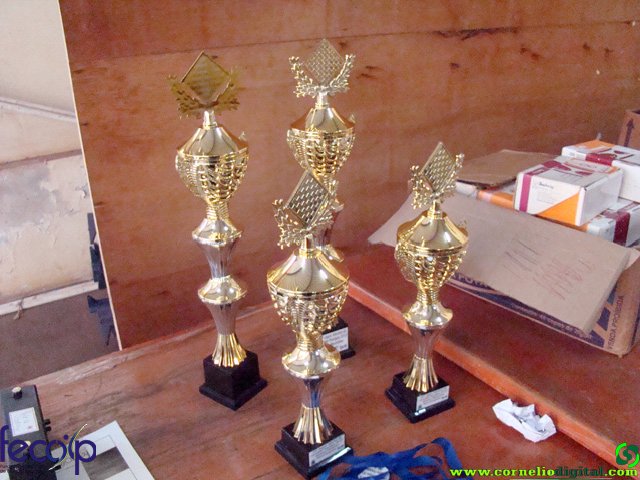 DSC06895.jpg