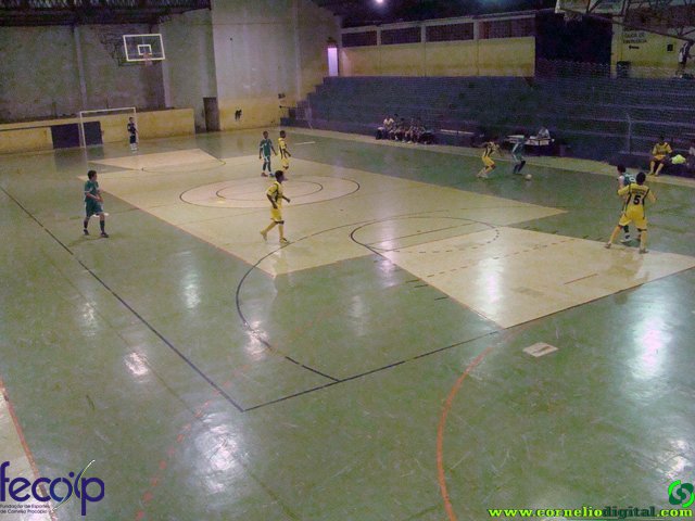 DSC07264.jpg