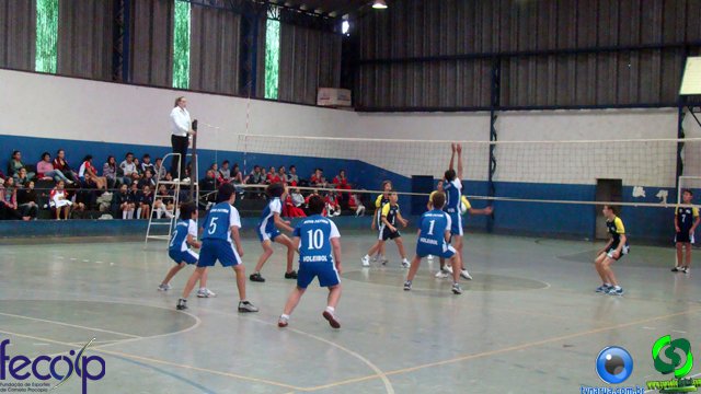 DSC00481.jpg