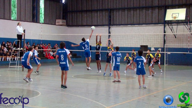 DSC00493.jpg