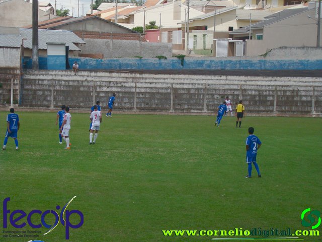DSC03155.jpg