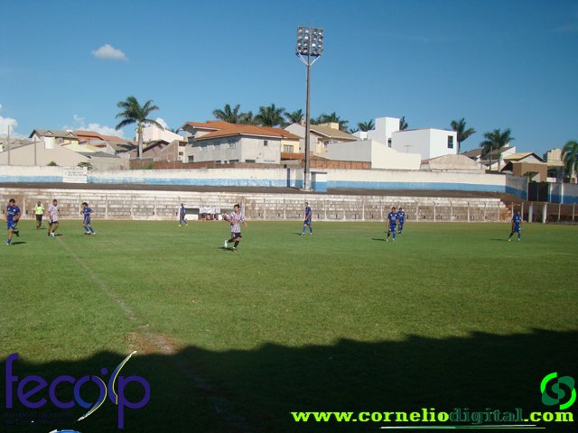 DSC03180.jpg